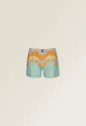 Day tripper shorts