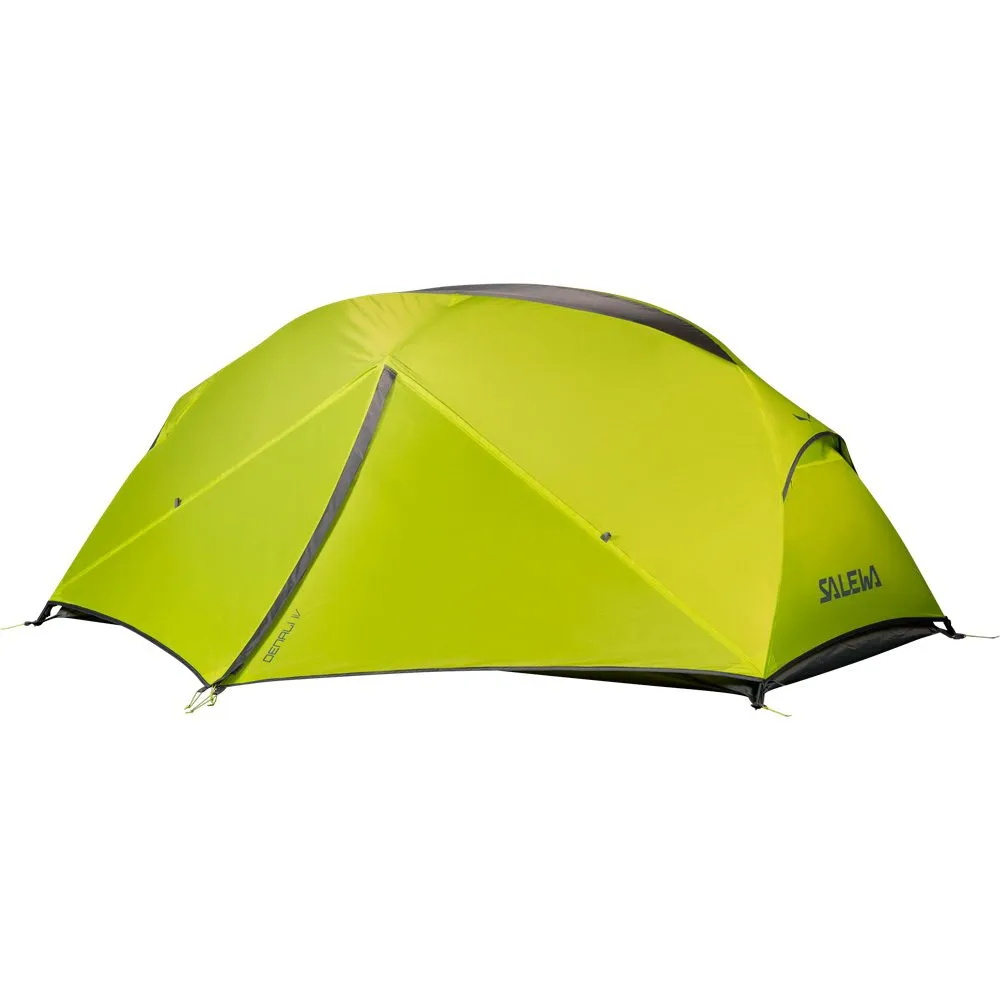 SALEWA - Denali IV Dome Tent cactus grey