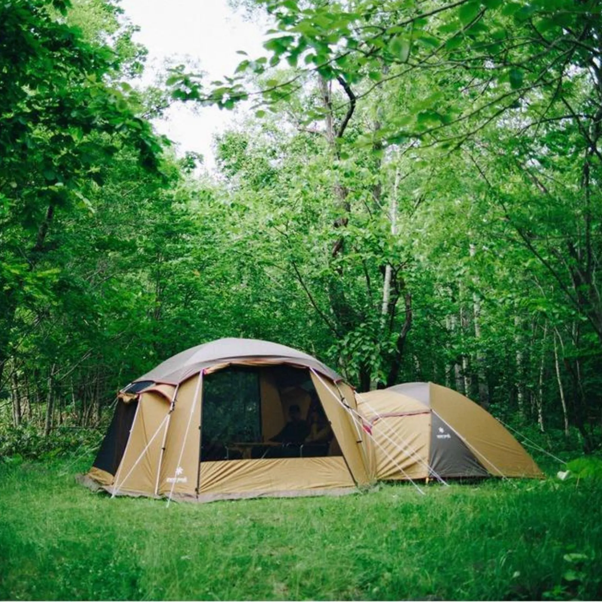 Snow Peak Entry Pack TS Tent